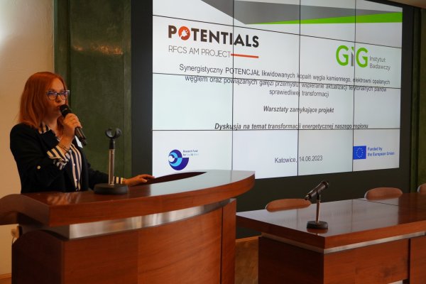 Warsztaty zamykające projekt POTENTIALS